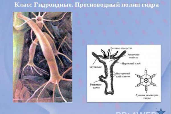 Рабочая ссылка на кракен